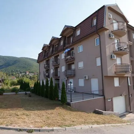 Lux Ristic 1 * 소코 반자