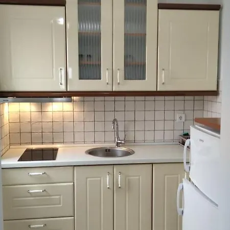 Lux Ristic 1 Apartmán Soko Banja