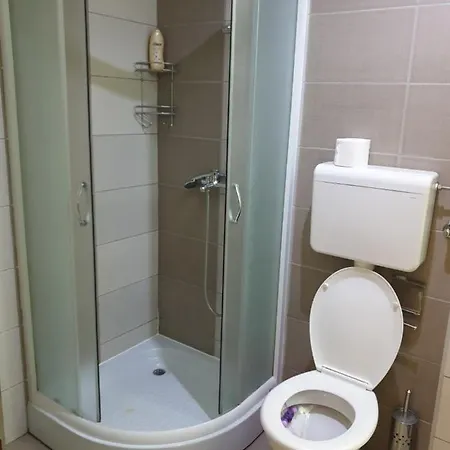 Lux Ristic 1 Apartmán Soko Banja