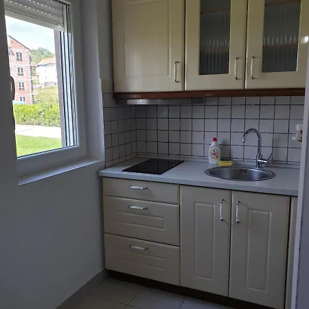 Lux Ristic 1 Apartmán Soko Banja