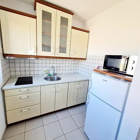 Lux Ristić 1 *
