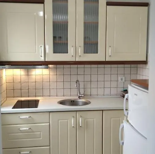 Lux Ristic 1 Апартаменты Сокобаня