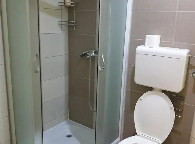 Lux Ristic 1 Апартаменты Сокобаня