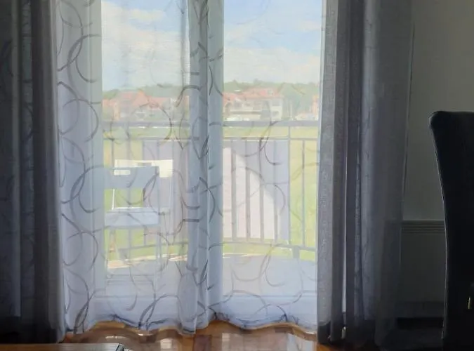 Lux Ristic 1 Сокобаня