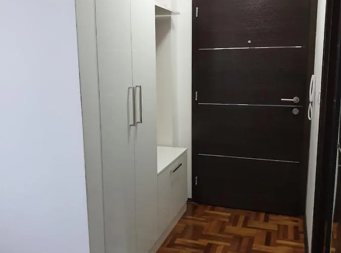 Lux Ristic 1 Апартаменты Сокобаня